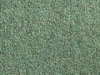 Lincoln Green
